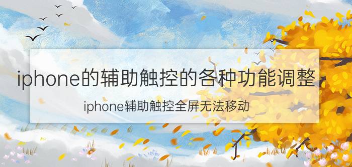 iphone的辅助触控的各种功能调整 iphone辅助触控全屏无法移动？